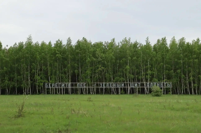 В Саратовской области введено ограничение пребывания граждан в лесах